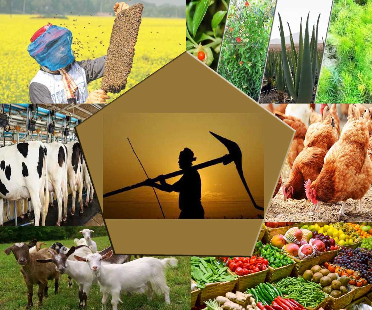 किसानों की आय बढ़ाने में कृषि और कृषि उद्यमों का योगदान एवं सम्भावनाएँ